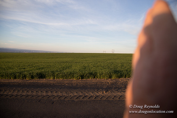 Eastern OR Wheat Rds