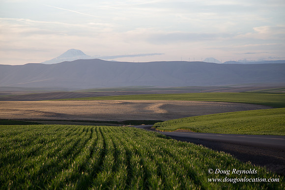Eastern OR Wheat Rds