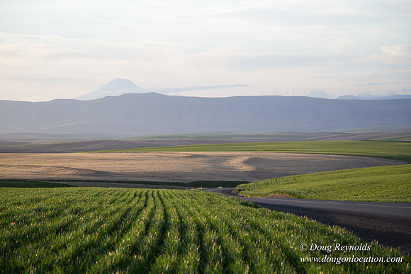 Eastern OR Wheat Rds