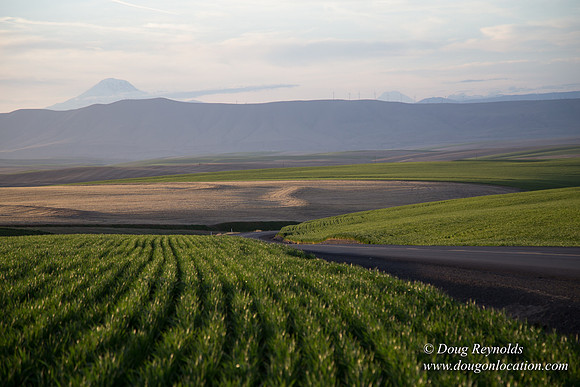 Eastern OR Wheat Rds