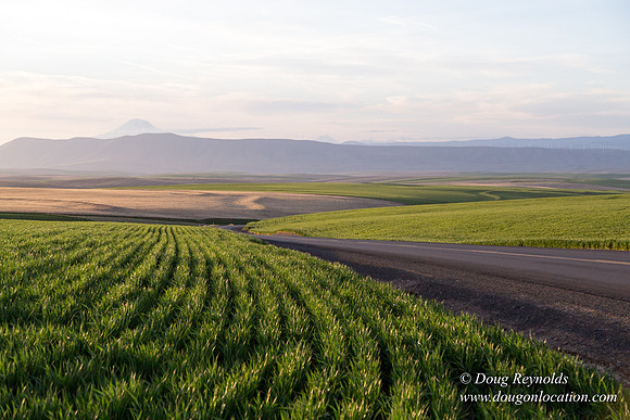 Eastern OR Wheat Rds