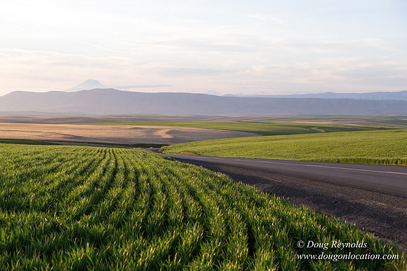 Eastern OR Wheat Rds
