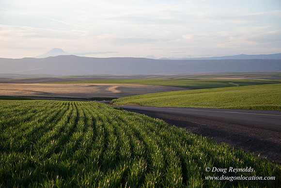 Eastern OR Wheat Rds