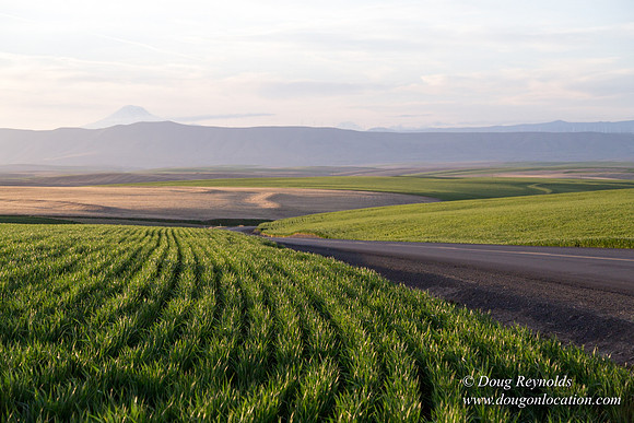Eastern OR Wheat Rds