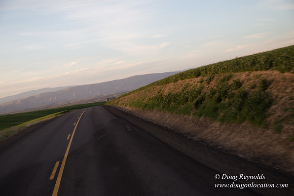 Eastern OR Wheat Rds
