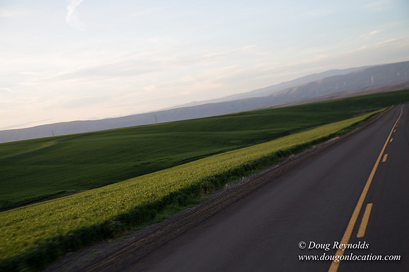 Eastern OR Wheat Rds