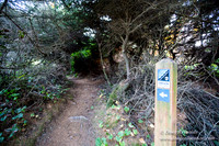 OPVPSBSP  Rock Coastal Area