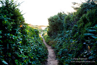 OPVPSBSP  Rock Coastal Area