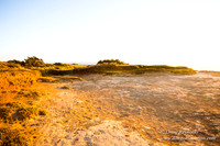 OPVPSBSP  Rock Coastal Area