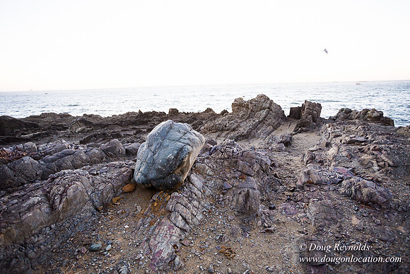 OPVPSBSP  Rock Coastal Area
