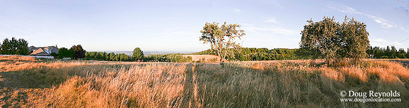 Genesis Hill-szwm-P708