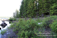 Clear Lake-3556