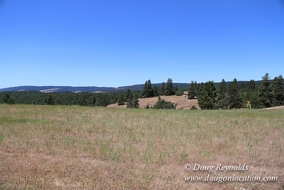 Brothers Ranch-8482