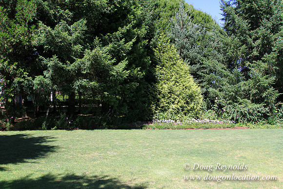 Jim’s Home Large beautiful traditional 2 story with large rooms. Modern kitchen and great room, and nook, large master suite, large entry with French doors. Well maintained grounds and garden, with la