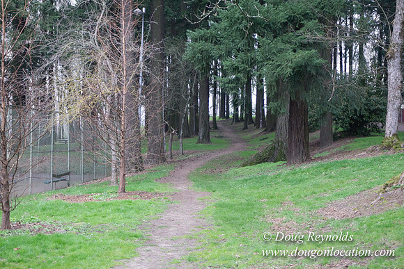 Sellwood Park-2332