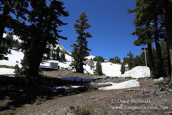 Medow's Snow-5720