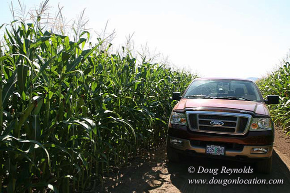Farm 4 has Barns Shops they grow Wheat and Corn.  in the Portland Zone