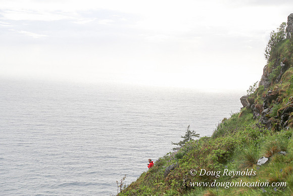 Ross Cape Perpetua-1756