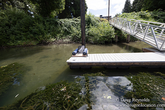 Erin's Dock on River-