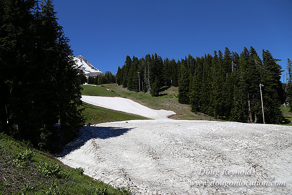 Medow's Snow-5772