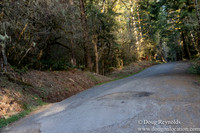 North Fprk Rd