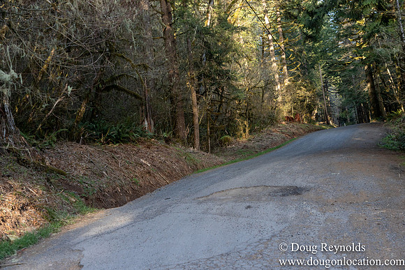 North Fprk Rd