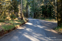 North Fprk Rd