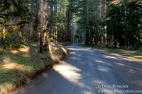 North Fprk Rd