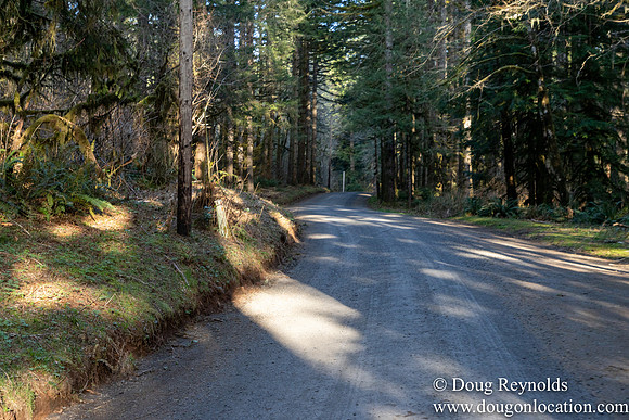 North Fprk Rd