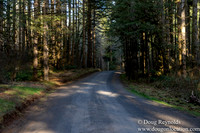 North Fprk Rd