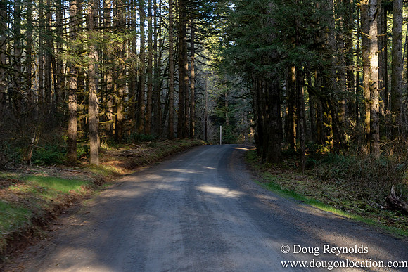 North Fprk Rd