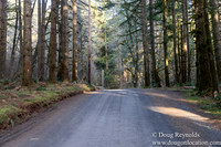 North Fprk Rd
