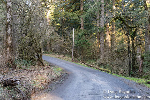 North Fprk Rd