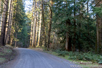 North Fprk Rd