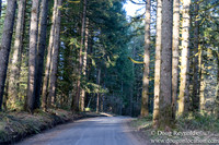 North Fprk Rd