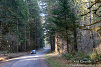 North Fprk Rd