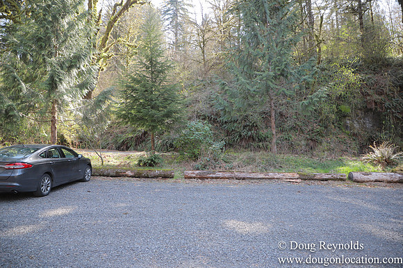 Eagle Fern Camp