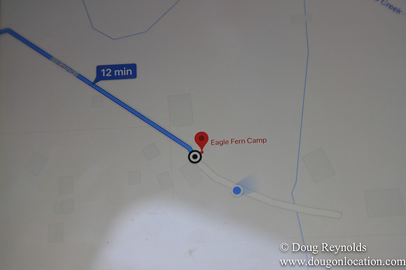 Eagle Fern Camp