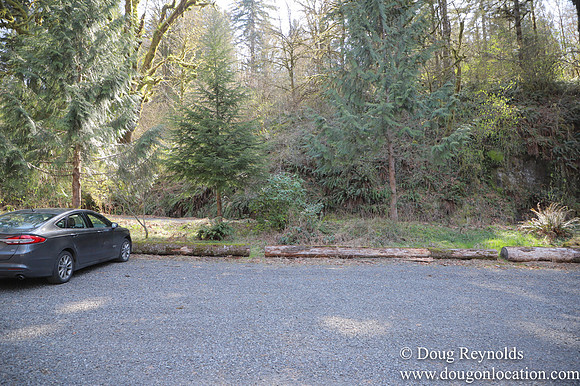 Eagle Fern Camp
