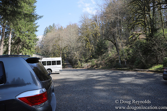 Eagle Fern Camp