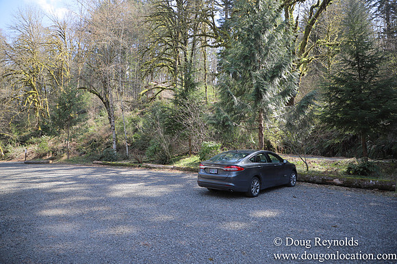 Eagle Fern Camp