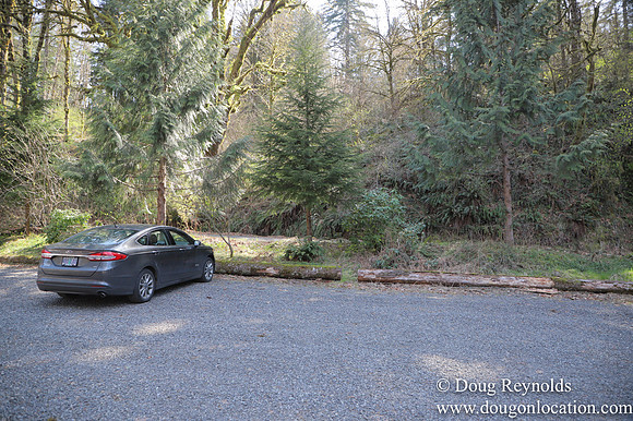 Eagle Fern Camp
