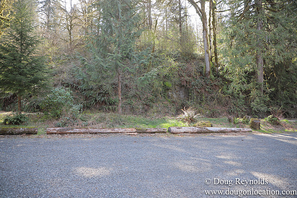 Eagle Fern Camp