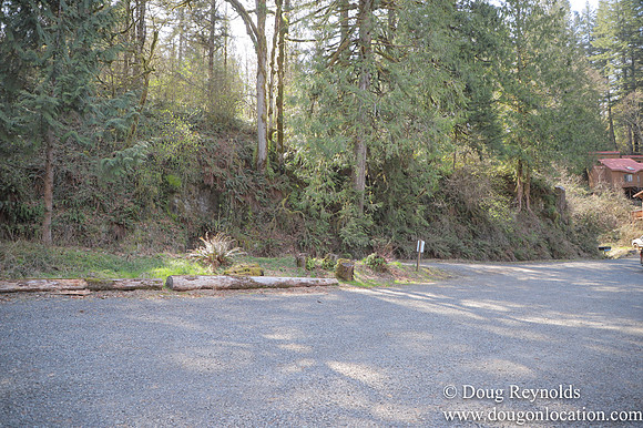 Eagle Fern Camp