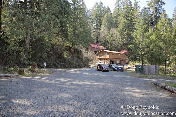 Eagle Fern Camp