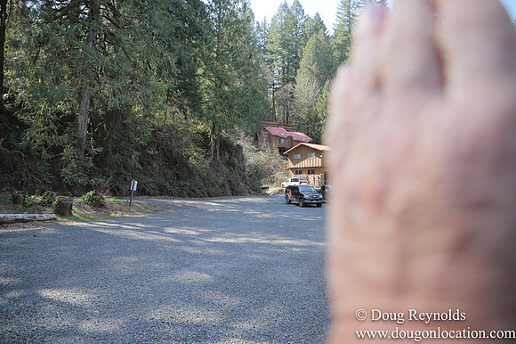 Eagle Fern Camp