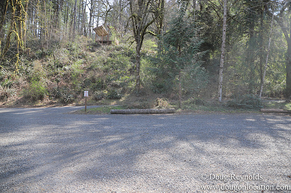 Eagle Fern Camp