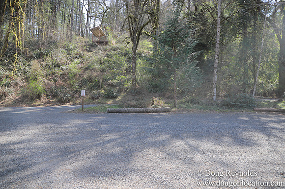 Eagle Fern Camp