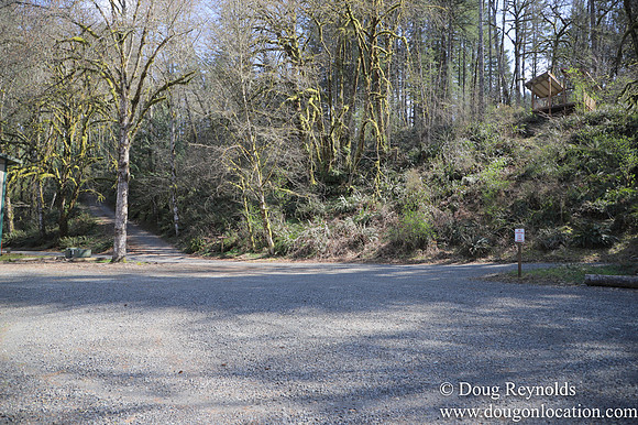 Eagle Fern Camp