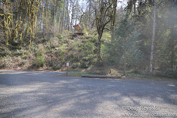 Eagle Fern Camp